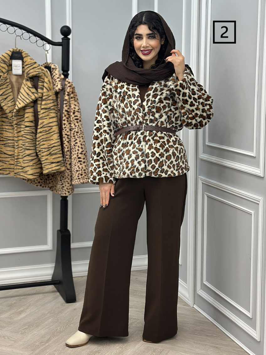 پالتو طرح 2 1