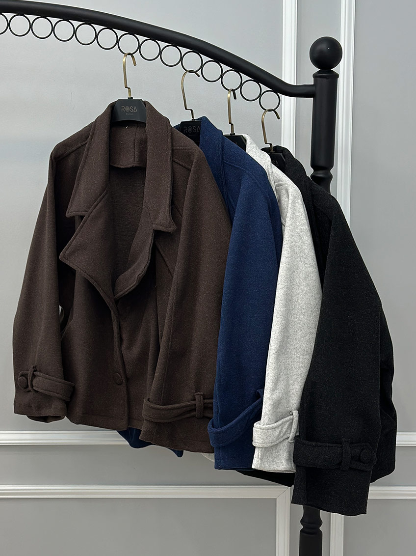 پالتو مدل بارش 1